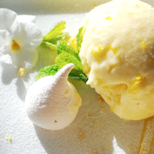 lemon meringue parrot © www.ice-cream-magazine.com